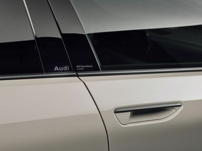 Audi A6 Sportback e-tron Tek Şarjla 1.338 km: Guinness Rekoru - fotoğraf 3