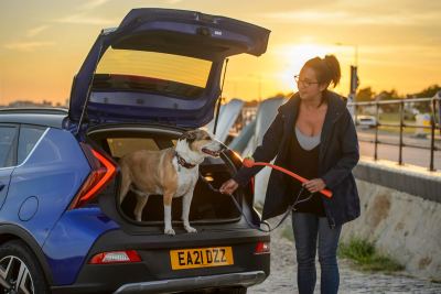 Hyundai Bayon İncelemesi: Özellikleri, Motoru ve Türkiye’de Alınır mı? - fotoğraf 24